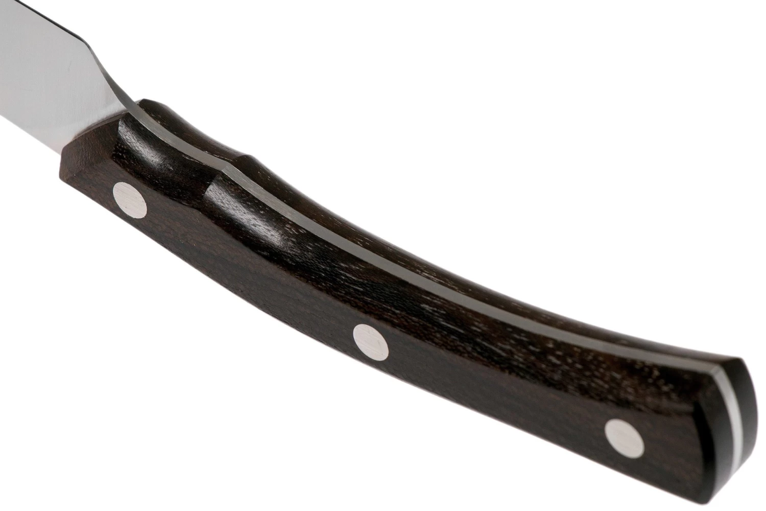 Due Cigni Arne Line Cuchillo Dentado Para Carne 11 Cm, Zircote - Imagen 4