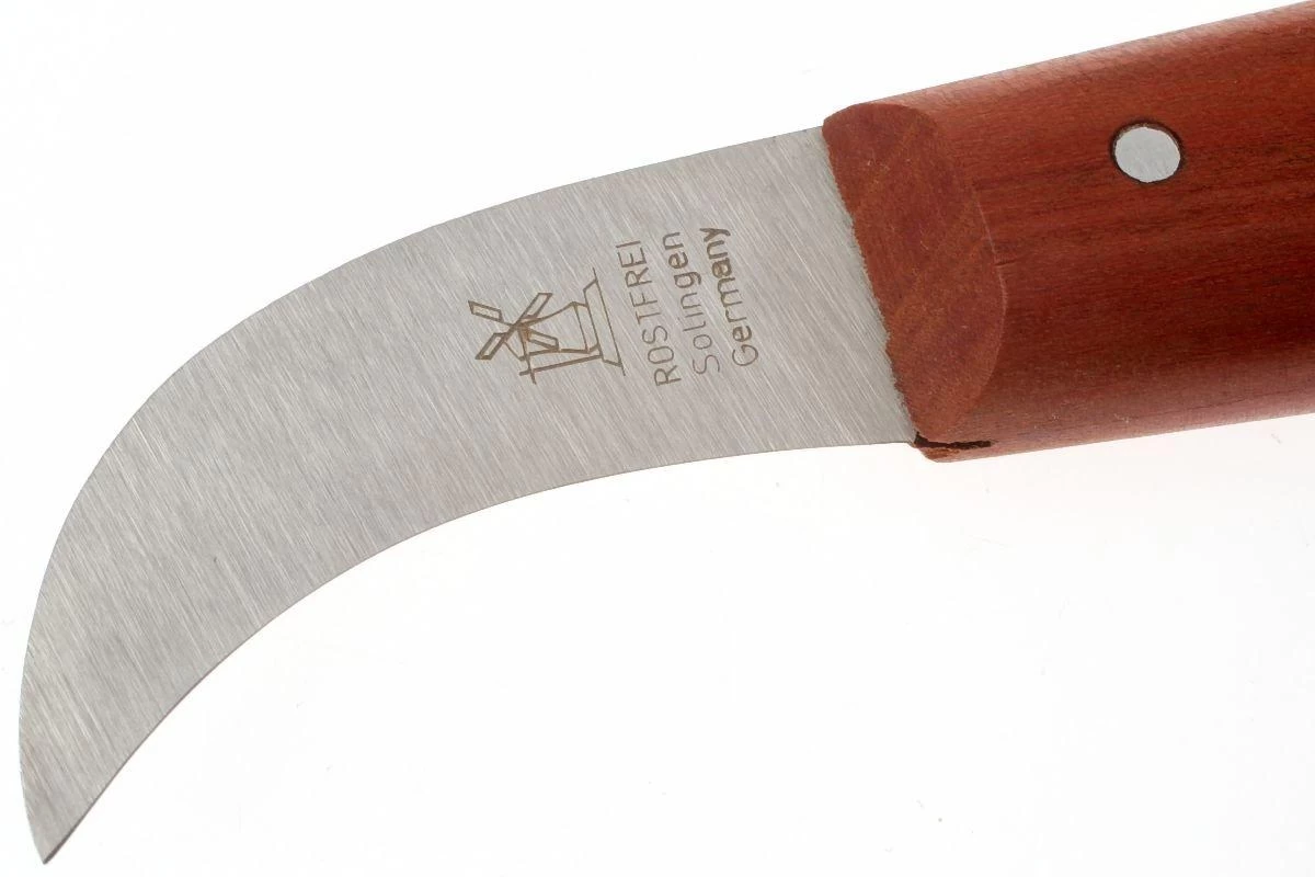 Robert Herder 2209550 Cuchillo De Setas Con Cepillo Inoxidable - Imagen 2