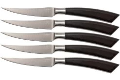 Saladini 6-delige Juego De Cuchillos Para Carne 23 Cm, Cuerno De Búfalo