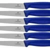 Victorinox SwissClassic 6.7232.6, Juego De Cuchillos Para Carne De 6 Piezas, Azul